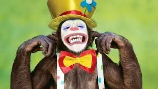 Catching an Evolutionist Misrepresenting Science ...again.