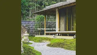 Groovy Ambience for Tokyo