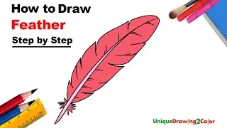 How to Draw a Feather (Step by Step Drawing Tutorial)