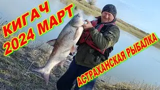 КИГАЧ 2024 МАРТ