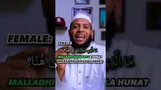 How do you say "It was nice conversation" in Arabic