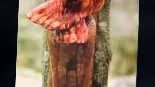 Foster and Allen - Amazing Grace - The Old Rugged Cross - Whispering Hope