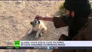 Cats, dogs & guns: No atrocities in new ISIS propaganda, just cuteness