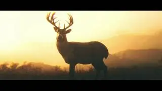 RDR2 May I Stand Unshaken High Honor