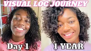 Microlocs 1-year visual journey | 1 - 12 months microlocs transformation