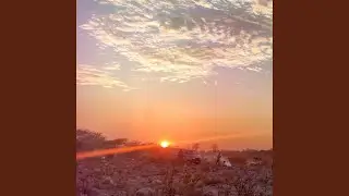 The Journey of Life