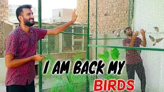 Am Back My beautiful birds|| Pets Vlog