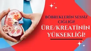 BÖBREKLERİN SESSİZ ÇIĞLIĞI! ÜRE/KREATİNİNİN YÜKSEKLİĞİ NEDEN OLUR?