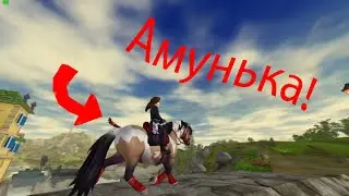 SSO || 4 набора амуниции для лошади