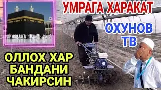ОЛЛОХ ХАР БАНДАНИ ЧАКИРСИН/БЛОГЕР ШУ ЕРДАН ПУЛ ТОПИБ УМРА ХАЖ САФАРИГА КЕТМОКЧИ(ОХУНОВ ТВ)