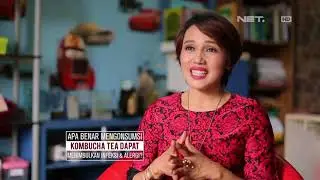 Apa itu Teh Kombucha?