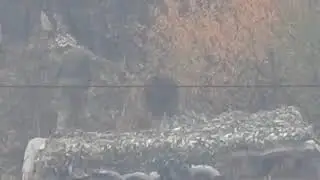 #Снайпер ополчения снял военнослужащего #ВСУ