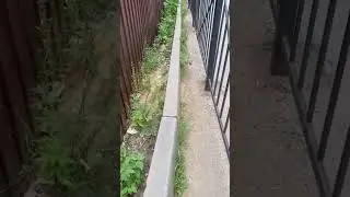 Это просто УЖАС! Кто так строит? А у Вас так же ?