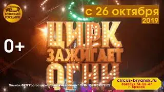 Брянск цирк