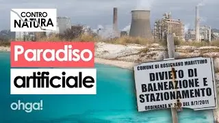Le SPIAGGE BIANCHE di Rosignano: la verità dietro i "CARAIBI ITALIANI"