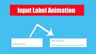 Input label Animations With HTML AND CSS