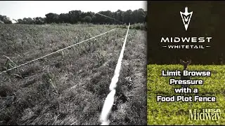 Limit Browse Pressure with a Food Plot Fence | Midwest Whitetail