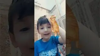 @abdyousify funny moments with cat play snap filters #zakho #zaxo #snapchat