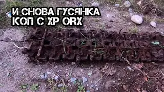 И снова за Гусянкой! Коп Металла! Часть1. Коп с XP ORX!
