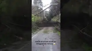 уххххх .... это надо видеть, какие везучие #shorts