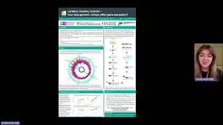 Location, location, location - how does genomic context affect gene expression?