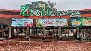 Keseronokkan di Zoo Negara Malaysia | Zoo in the Jungle since 1963 - MCO 2021 (20)
