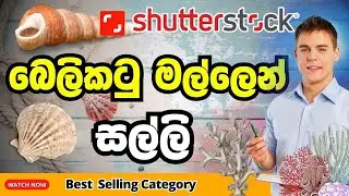 Best Selling Category in Stock Photography | Top selling niches on Shutterstock