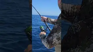 Is Tuna Fishing With A Spinning Reel Smart or Not?