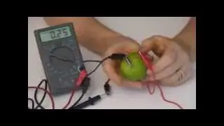 Homeschool Science Experiment: Supercharged Science: Fruit Battery