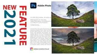 Photoshop new feature sky replacement, New feature photoshop 2021