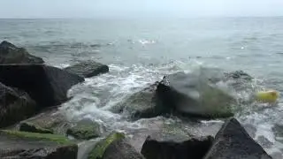 Заставка  С палочкой  Август 2019 бердянск