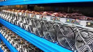 Terraminer pays! History of the farm. Why we will win?