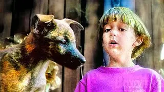A Puppy to Protect | KIDS, FAMILY | Full Movie in English