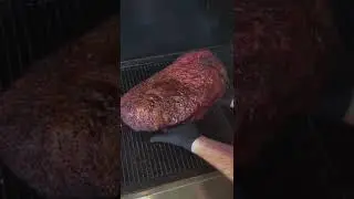 Smoked Brisket Sandwich | Grill Nation
