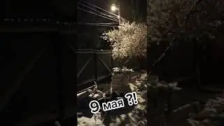 Пасхальное чудо на 9 мая!