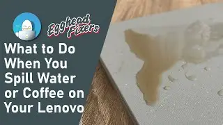What to Do When You Spill Water or Coffee on Your Asus Laptop - Step-By-Step Guide on How to Fix It