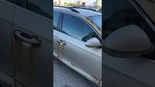 Volkswagen is the best in the world, they said
