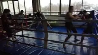 Спаринг с частой сменой партнера ММА