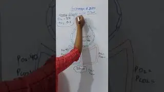Exchange of O2- Vijita Sharma #views #subscribe #youtubeshorts #ytshorts #comment #like #biology