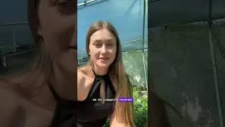 А вот наши медовые грядки!