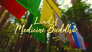 Exploring the Land of Medicine Buddha in Santa Cruz, California