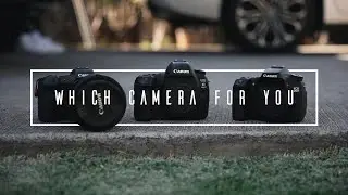 Best Camera For You! (Beginner to Professional)