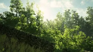 Trees and Shrubs - Cinematic Demo - Unreal Engine 4 (4K)
