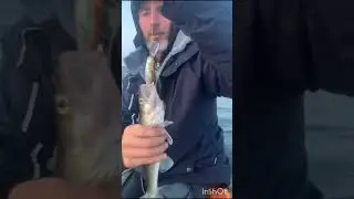 Рыбалка на финском заливе на дорожку с лодки