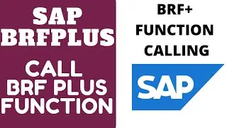 Calling BRF Plus Functions | BRF+ Connection from ABAP | SAP BRF+