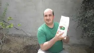 как и чем бороться с улитками и слизнями от Фуада