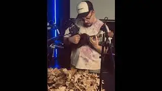 Как я искал звук для Хаски 