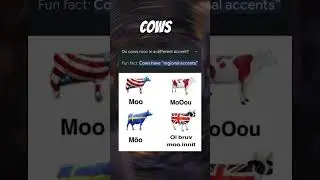 moo 