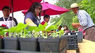 Healthy Weight and Wellness Program for Kids