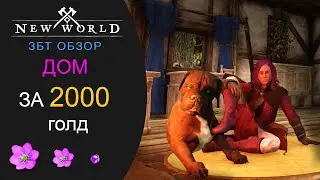 New World ЗБТ ДОМ ЗА 2000 голд